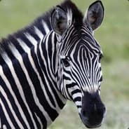 ZimGil's Steam Avatar
