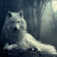AIMBOT For Sure's Steam Avatar