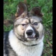 Молодой Порошок's Steam Avatar