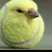 PEPSI's Steam Avatar