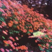 -ˏˋNommyCookieˎˊ-'s Steam Avatar