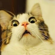 VerticalOptimizer's Steam Avatar