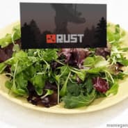 Salad's Steam Avatar