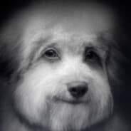 oopy goopy's Steam Avatar